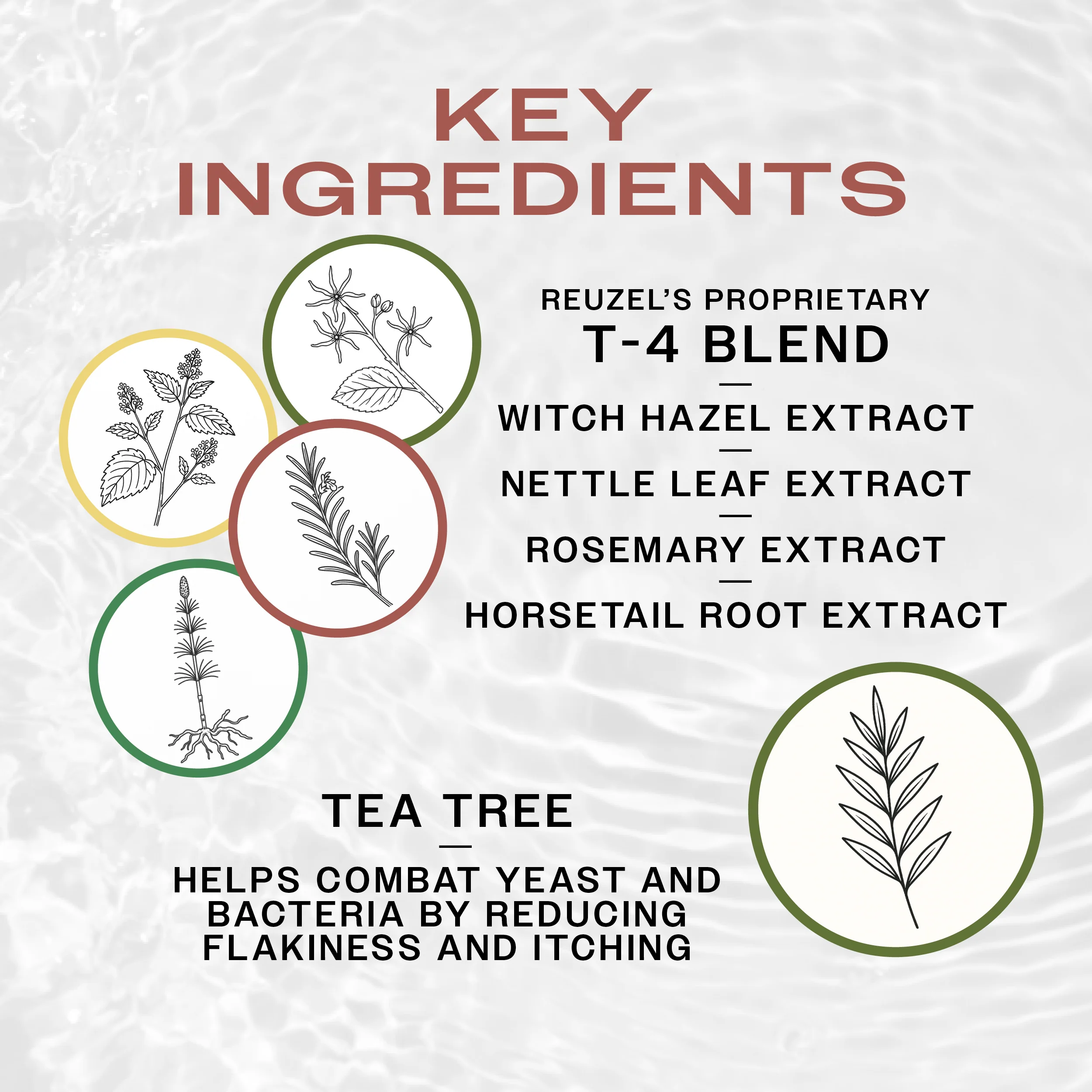 REUZEL 3w1 TEA TREE Szampon do włosów, skóry głowy i ciała 100ml - Image 5